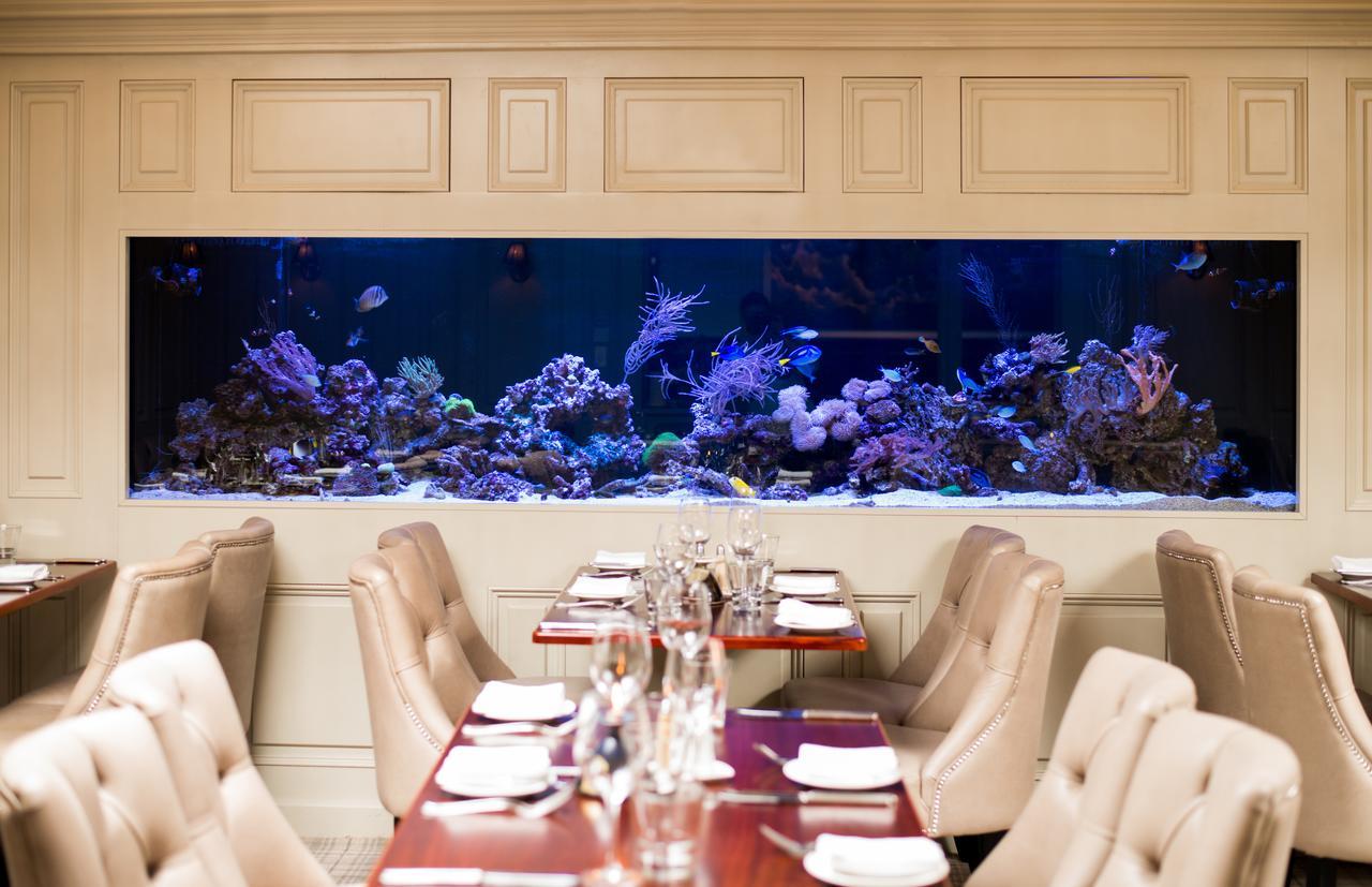 Vaughans Anchor Inn Liscannor Bagian luar foto